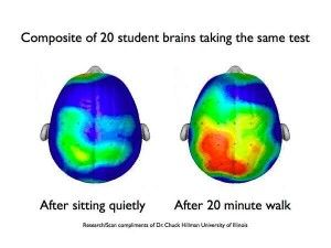 walk-before-exam
