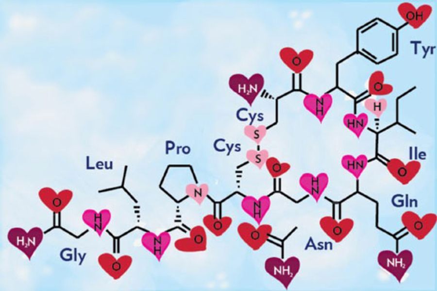 Θεραπεία με διαγονιδιακό δέρμα | Biology.gr