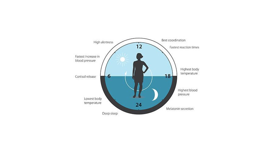 Θεραπεία με διαγονιδιακό δέρμα | Biology.gr